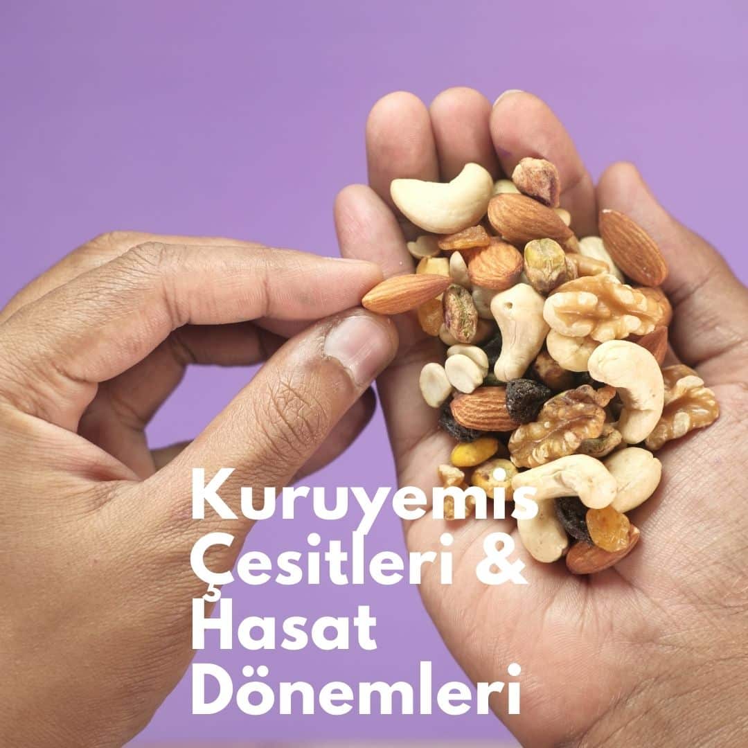 Kuruyemiş