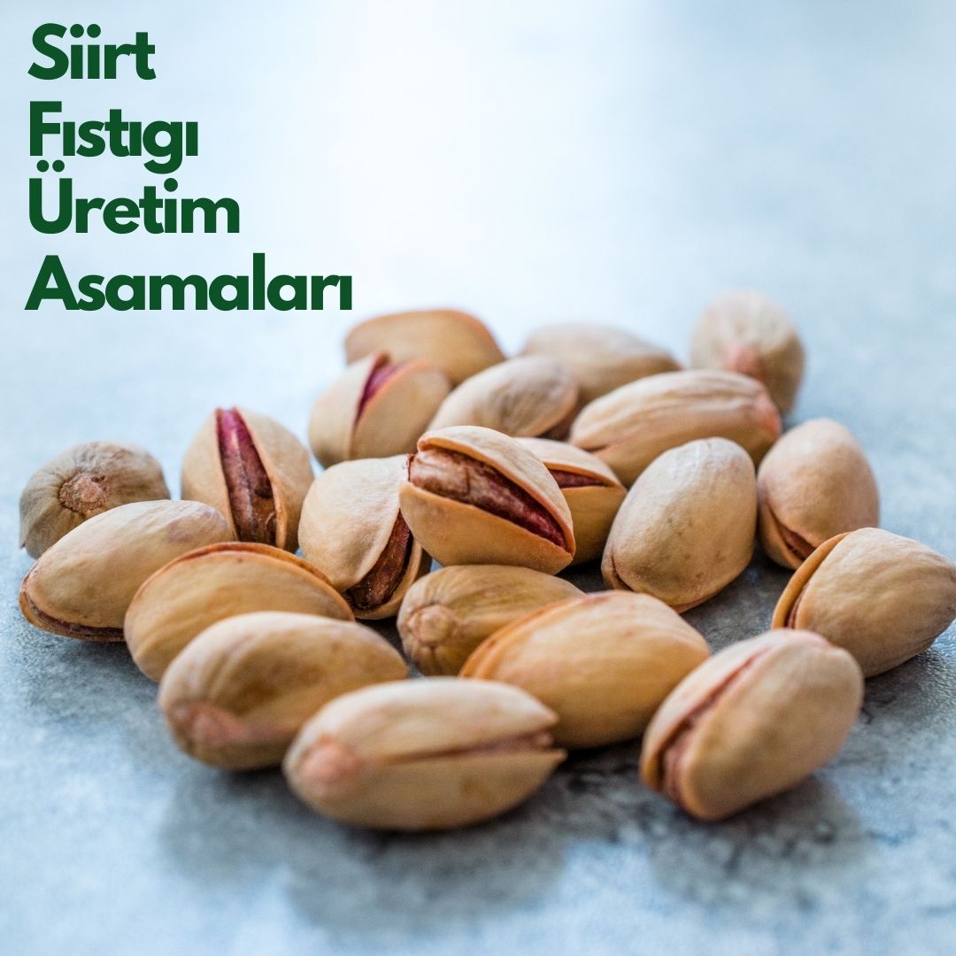 Siirt Fıstığı