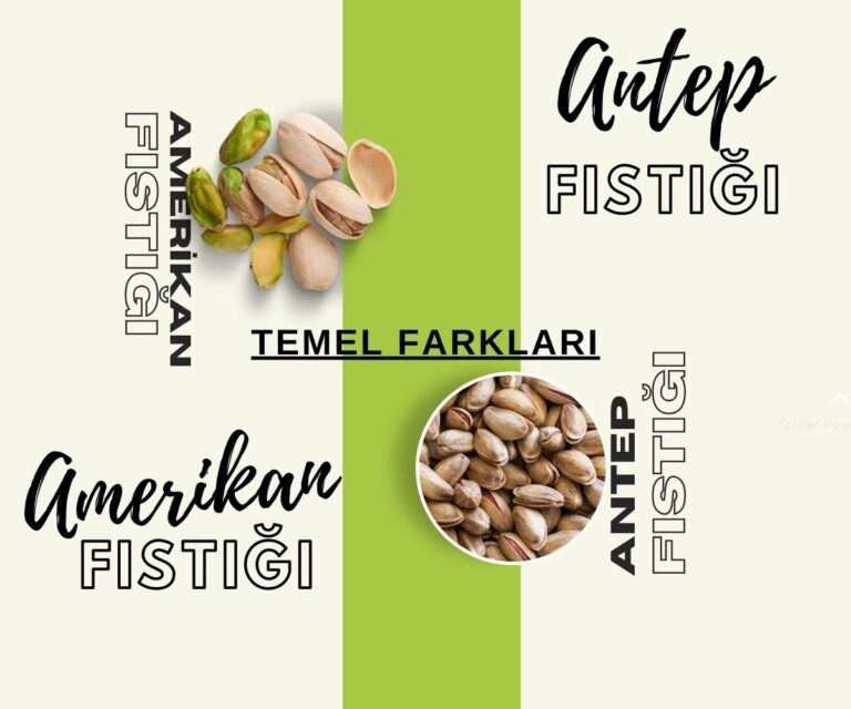 Antep Fıstığı ve Amerikan Fıstığı arasındaki Fark !