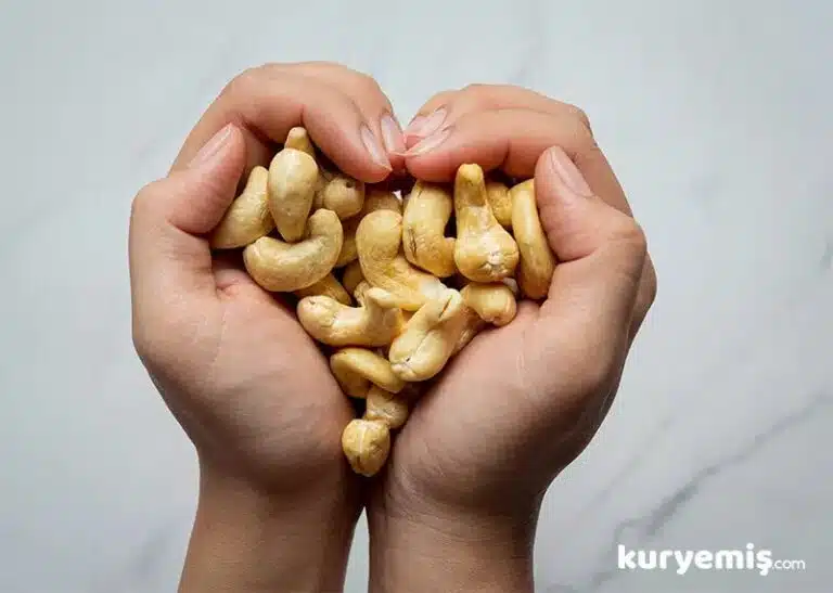 Kaju’nun sağlık açısından Faydaları !
