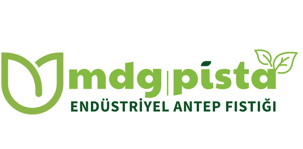 mdg pista logo